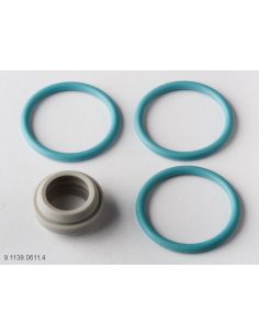 Dichtungssatz APV Ventil