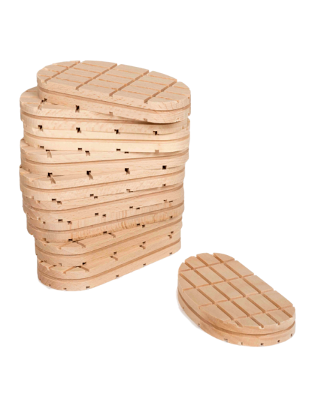 Lely Meteor Hoof Blocks