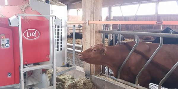 Der LELY Vector bringt höhere Tageszunahmen - auch in der Mutterkuhhaltung.