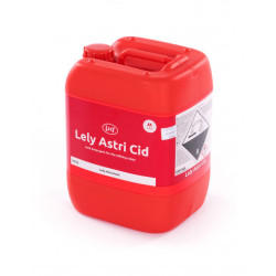 Lely Astri Cid
